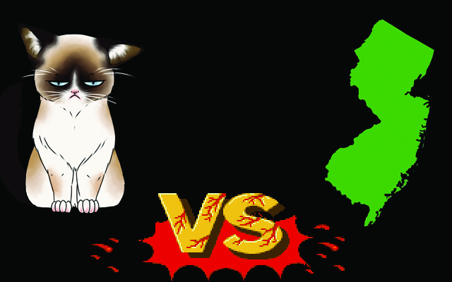 New Jersey Vs. Grumpy Cat