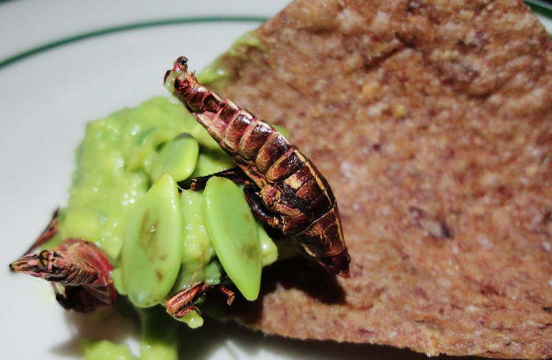 Taco Santo Cricket Chips