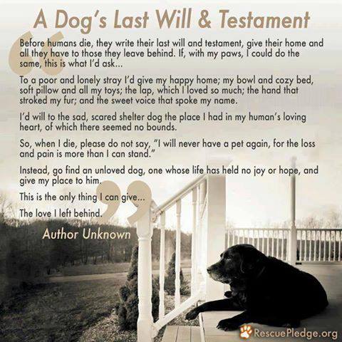 Dogs Last Will