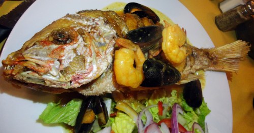 Pargo al Caribe Close-Up