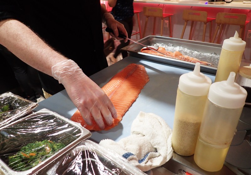 Here Fishy, Fishy, Fishy!